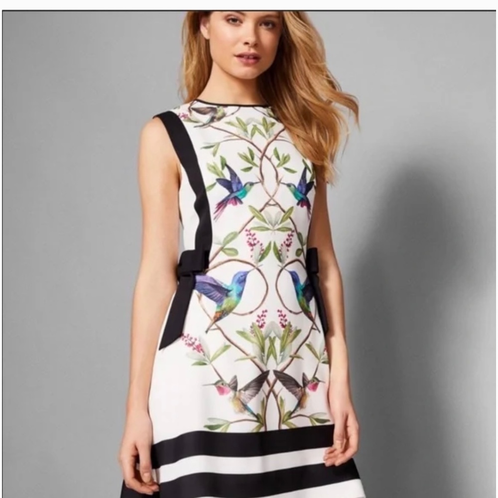 Ted baker hummingbird a- dress size 0